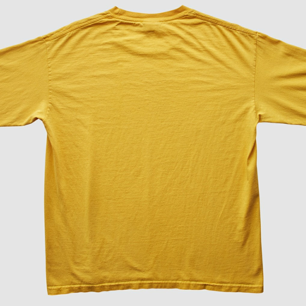 Pittsburgh Steelers NFL 2006 T-Shirt | NFL Hot