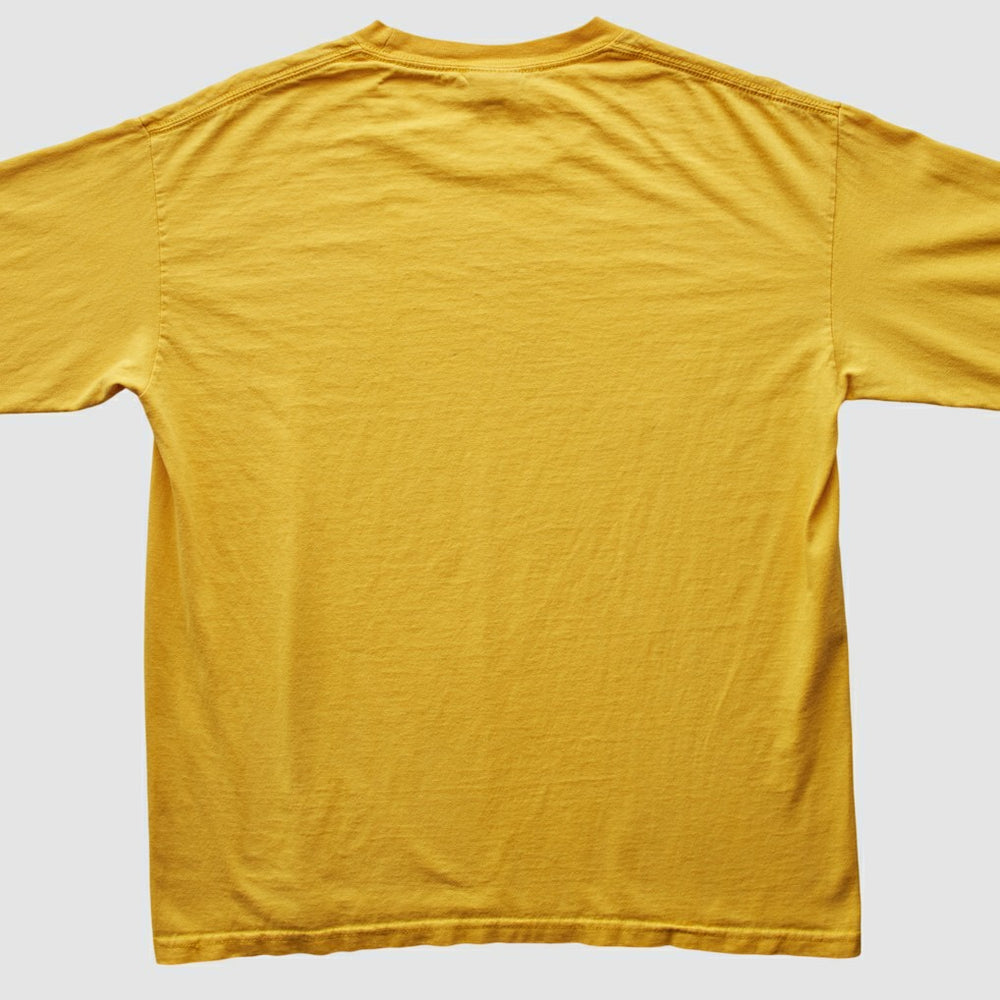 Pittsburgh Steelers NFL 2006 T-Shirt | NFL Hot