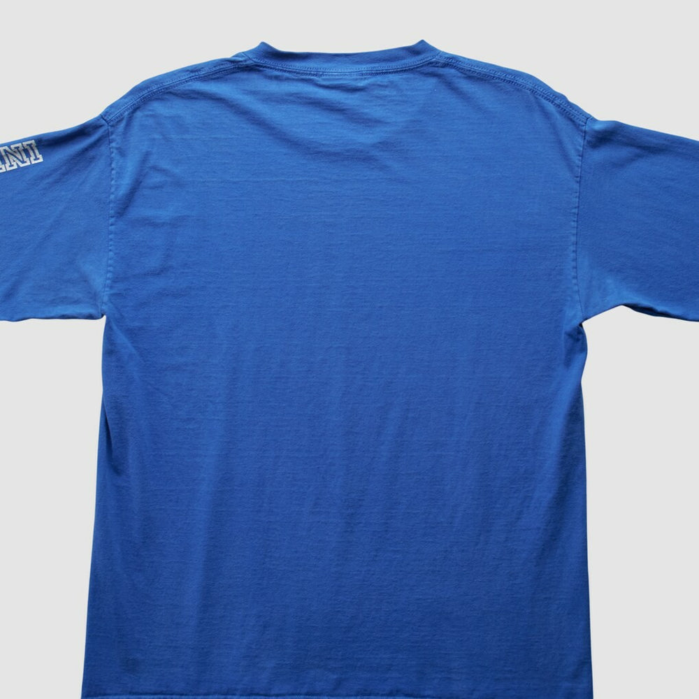 Indianapolis Colts NFL 2000s Long Sleeve T-Shirt | NFL On sale