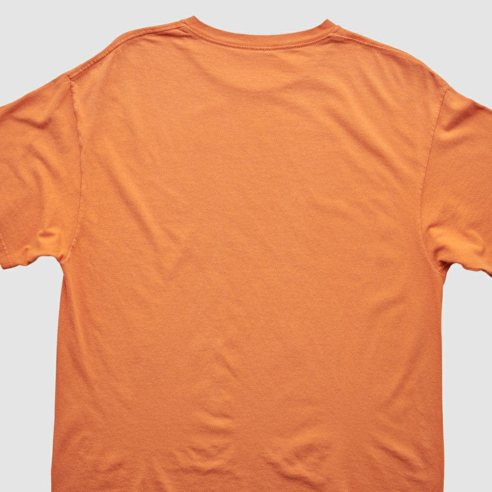Detroit Tigers 2013 T-Shirt - MLB T-shirts