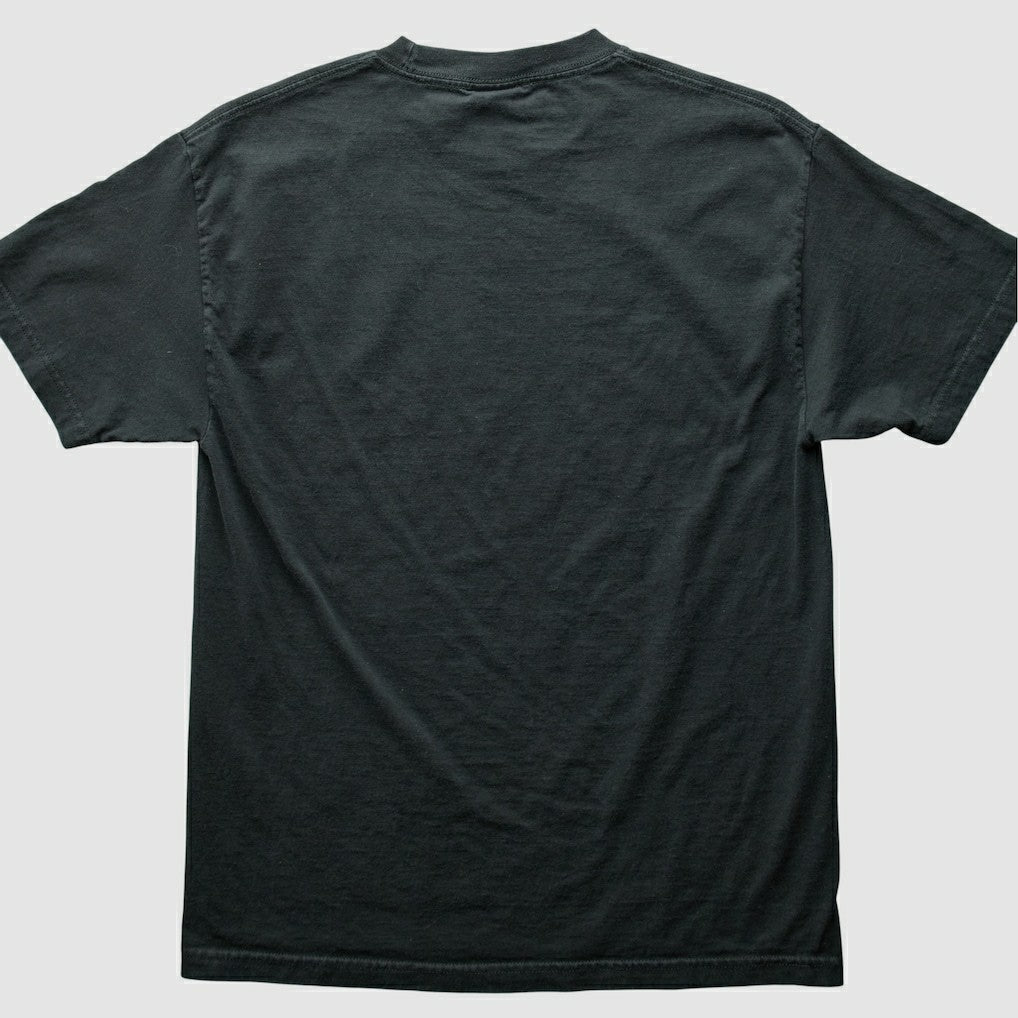 Pittsburgh Steelers NFL 2000s T-Shirt | NFL Online
