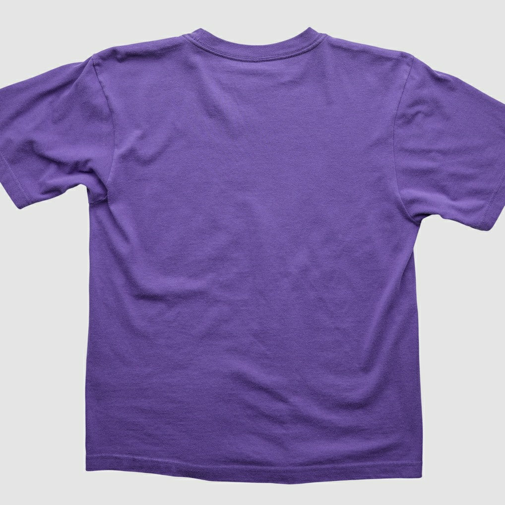 Minnesota Vikings 2000s T-Shirt | NFL Near me