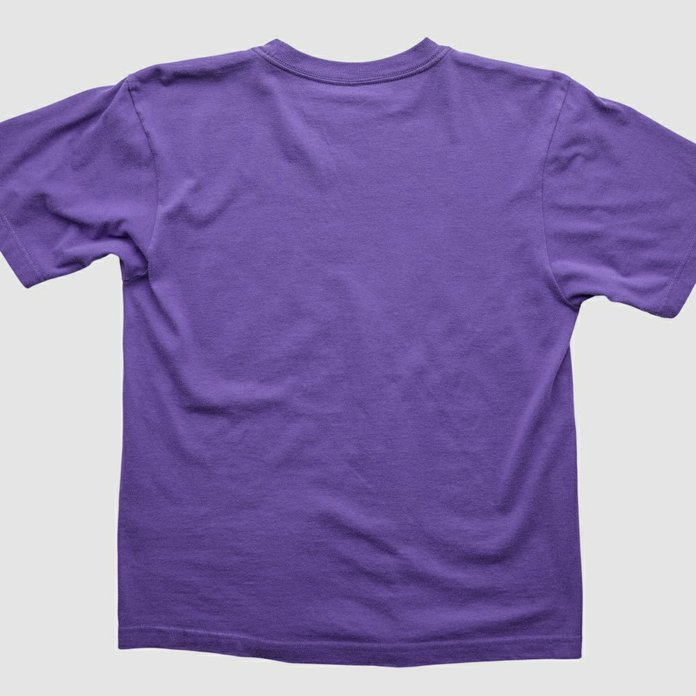 Minnesota Vikings 2000s T-Shirt | NFL Near me