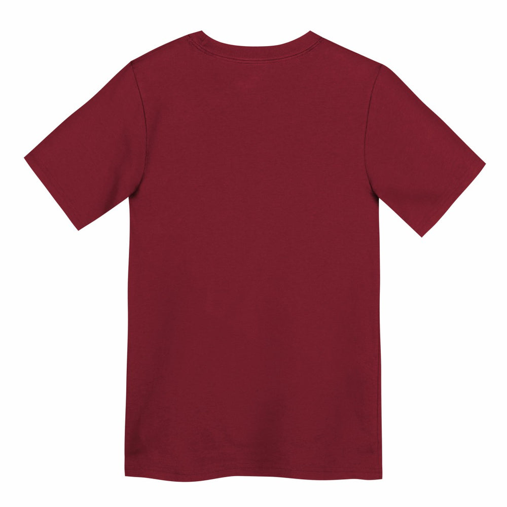 Tampa Bay Buccaneers Preschool Icon Legend Dri-FIT T-Shirt | NFL Hot