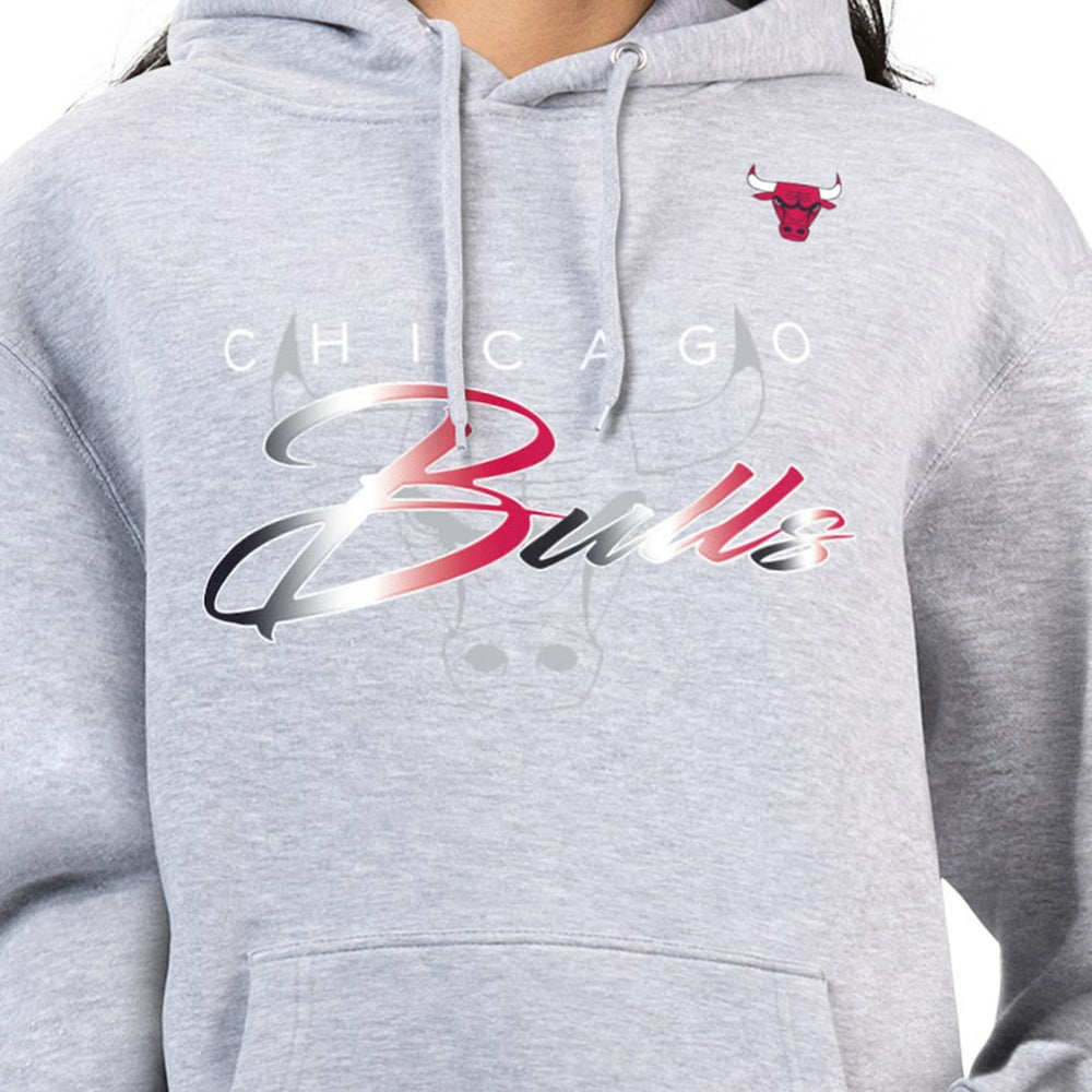 Gray Chicago Bulls G-III 4Her by Carl Banks Women's Shadow Logo Tri-Blend Fleece Hoodie sale | NBA