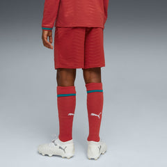 Portugal National Team Youth 2026 Replica Shorts