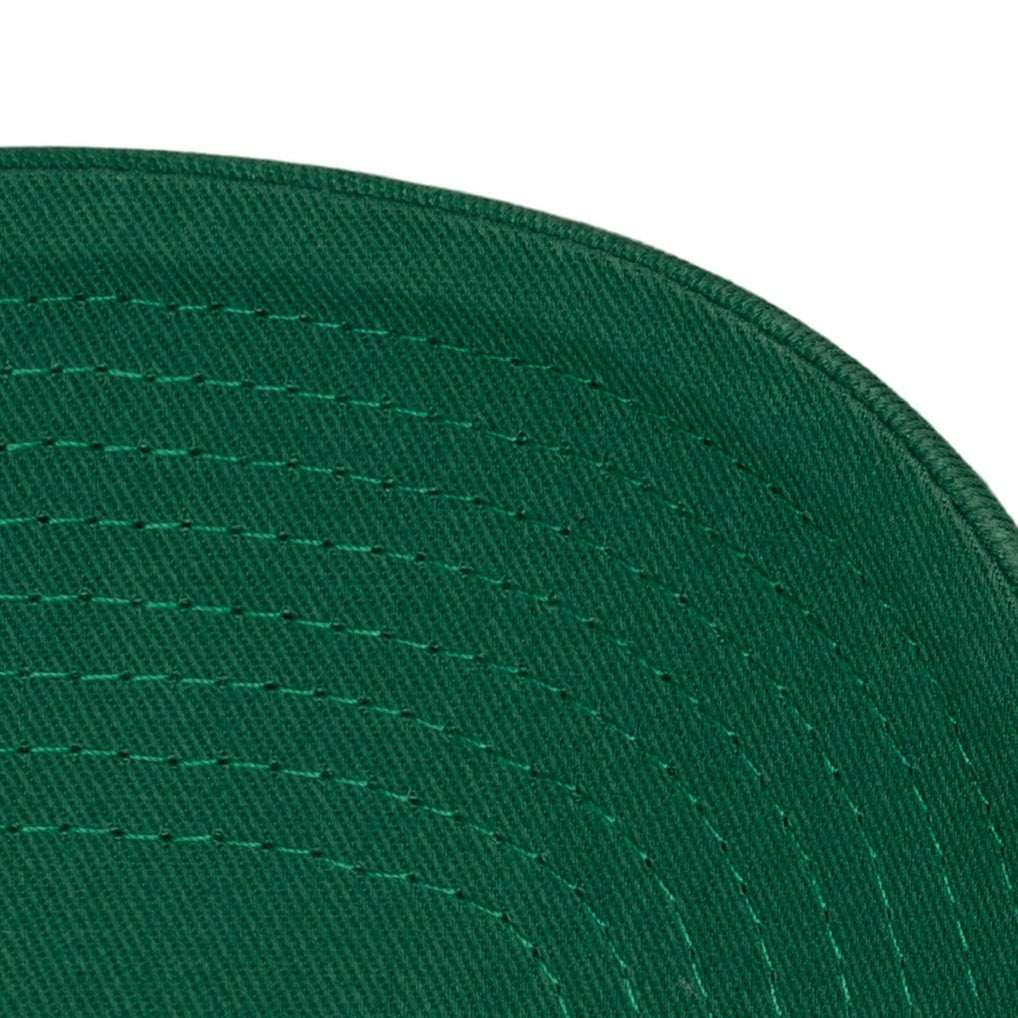 Kelly Green Boston Celtics Hardwood Classics 1904 Adjustable Hat | NBA