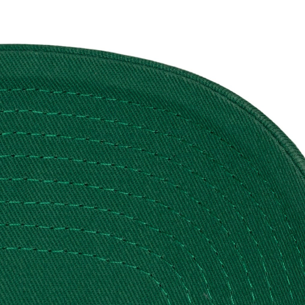 Kelly Green Boston Celtics Hardwood Classics 1904 Adjustable Hat | NBA