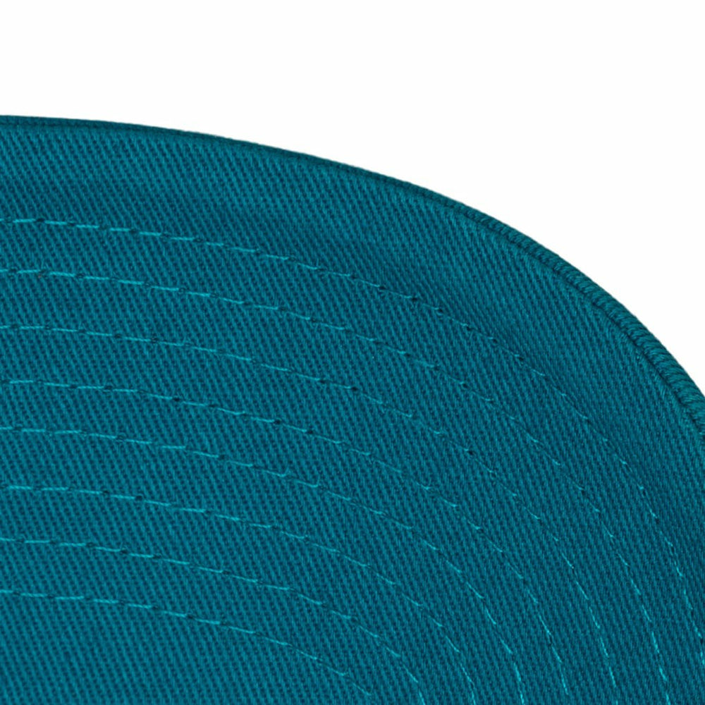 Teal Charlotte Hornets Hardwood Classics 1904 Adjustable Hat | NBA