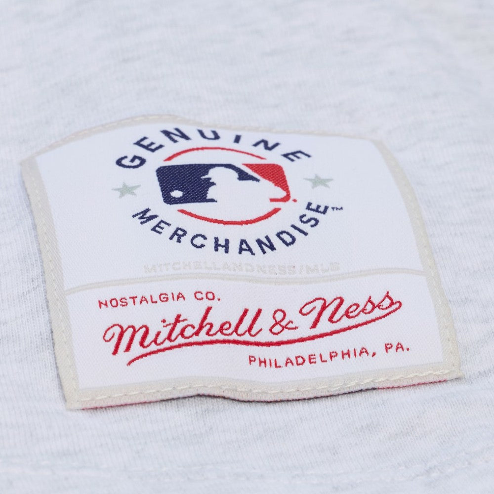 Los Angeles Dodgers Mitchell & Ness Women's Script Cropped Boxy T-Shirt - MLB T-shirts
