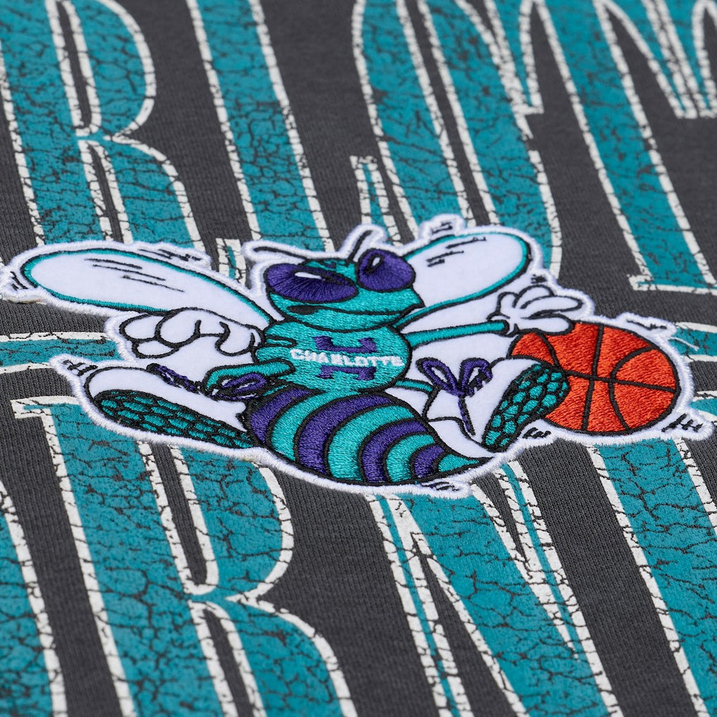 Black Charlotte Hornets NBA Downtown Collection Fleece Sweatshirt | NBA