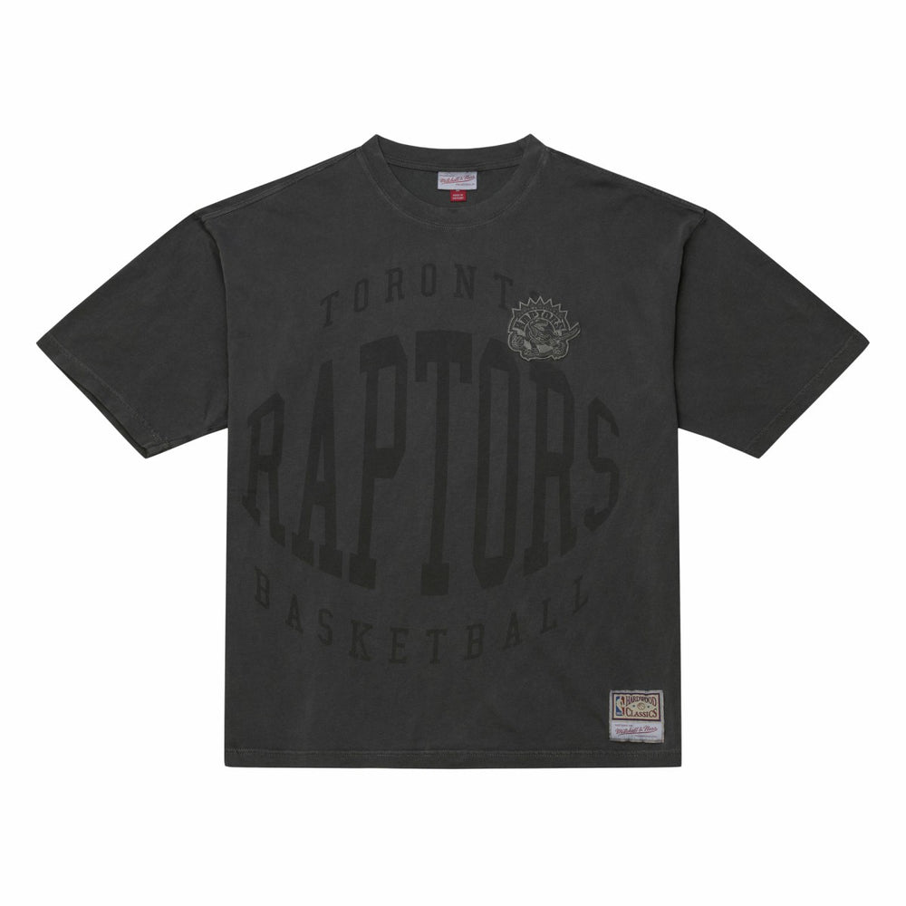 Black Toronto Raptors Downtown Collection Premium T-Shirt | NBA