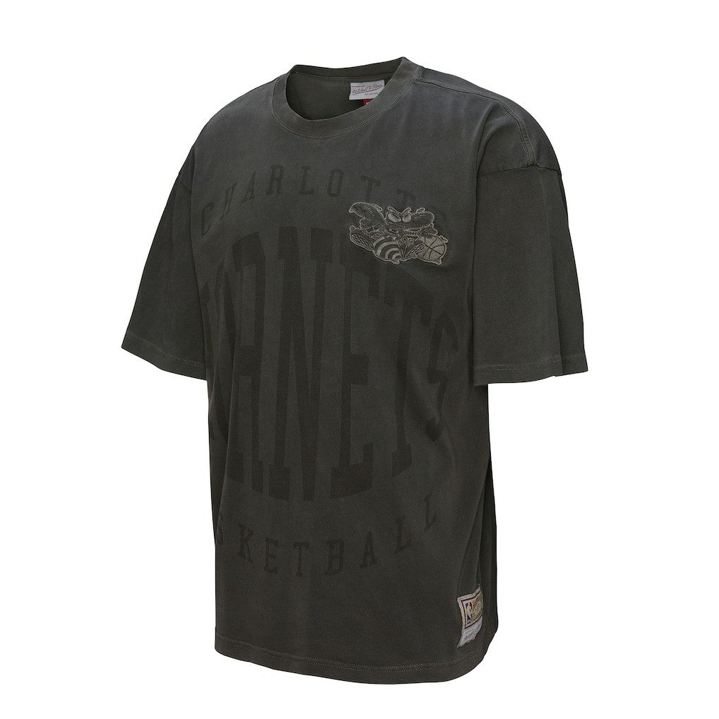Black Charlotte Hornets Downtown Collection Premium T-Shirt | NBA