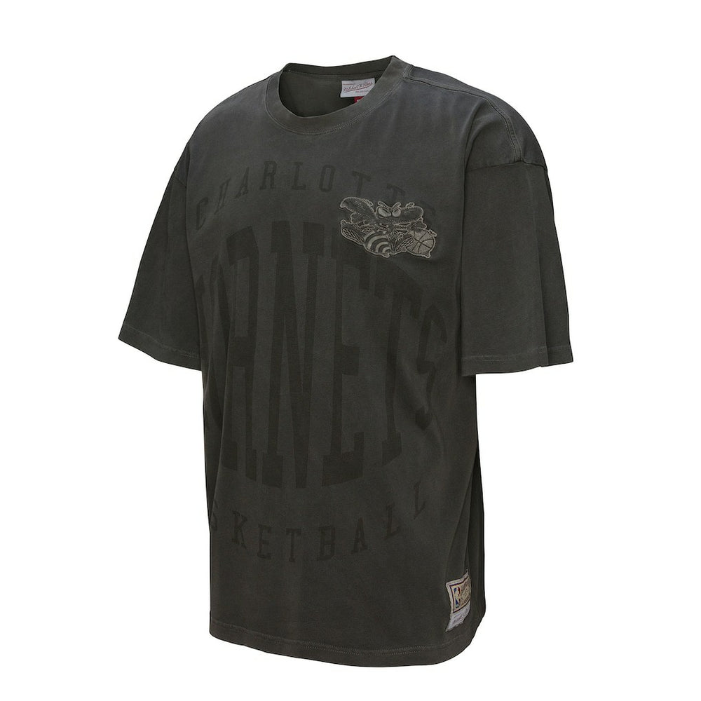 Black Charlotte Hornets Downtown Collection Premium T-Shirt | NBA
