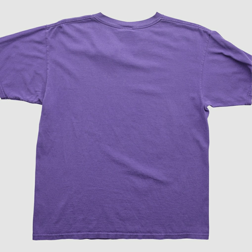 Minnesota Vikings NFL 2000s T-Shirt | NFL Discount