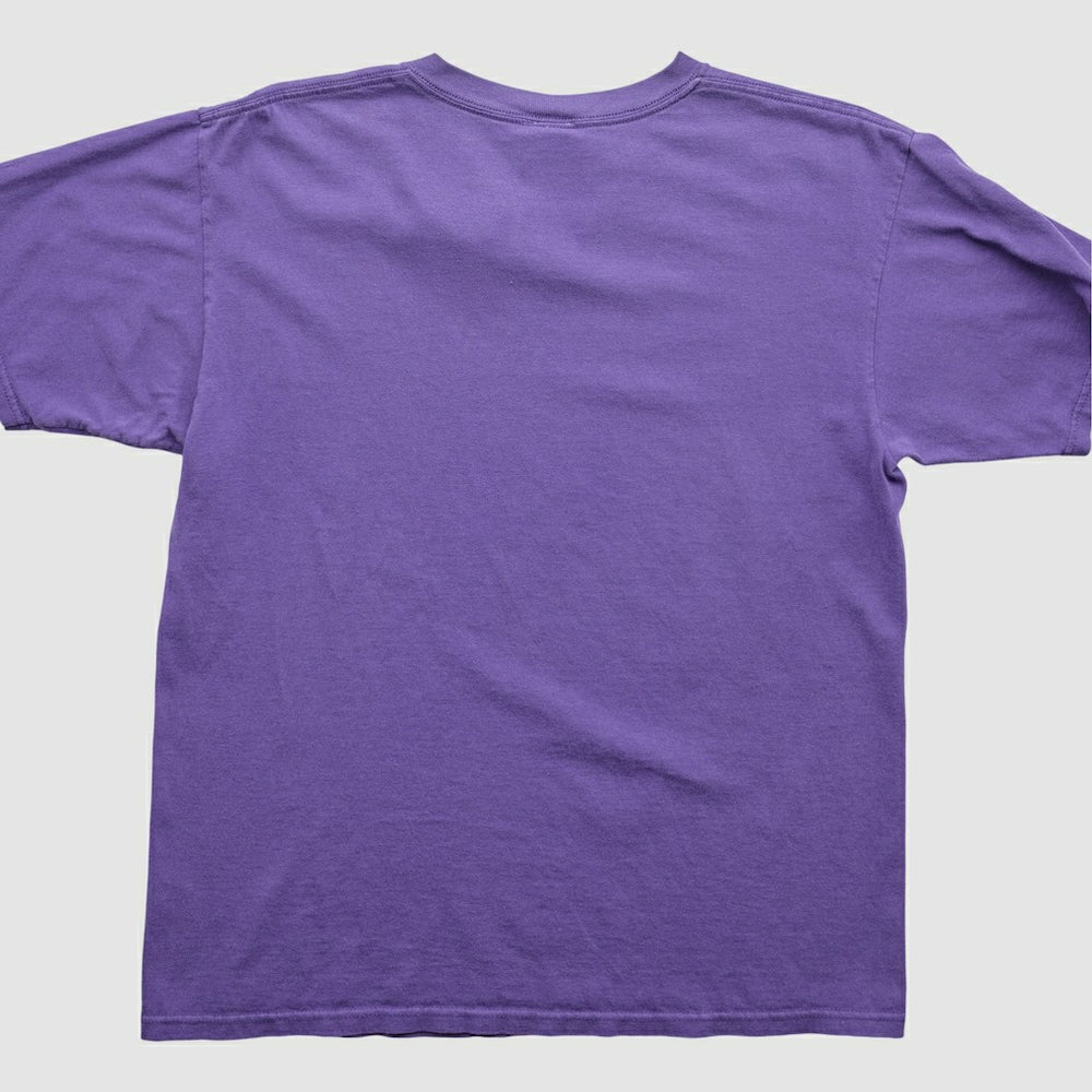 Minnesota Vikings NFL 2000s T-Shirt | NFL Discount