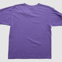 Minnesota Vikings NFL 2000s T-Shirt | NFL Discount