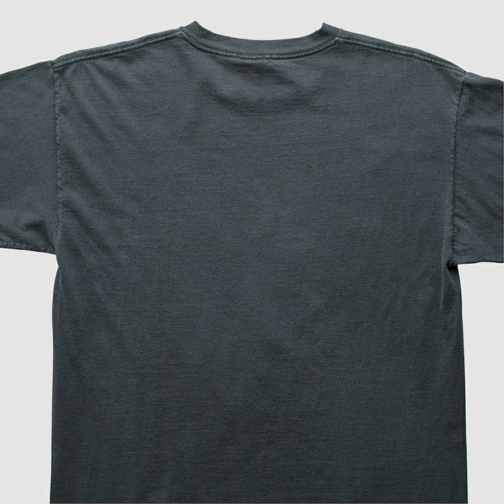Pittsburgh Steelers NFL 2000s T-Shirt | NFL Discount