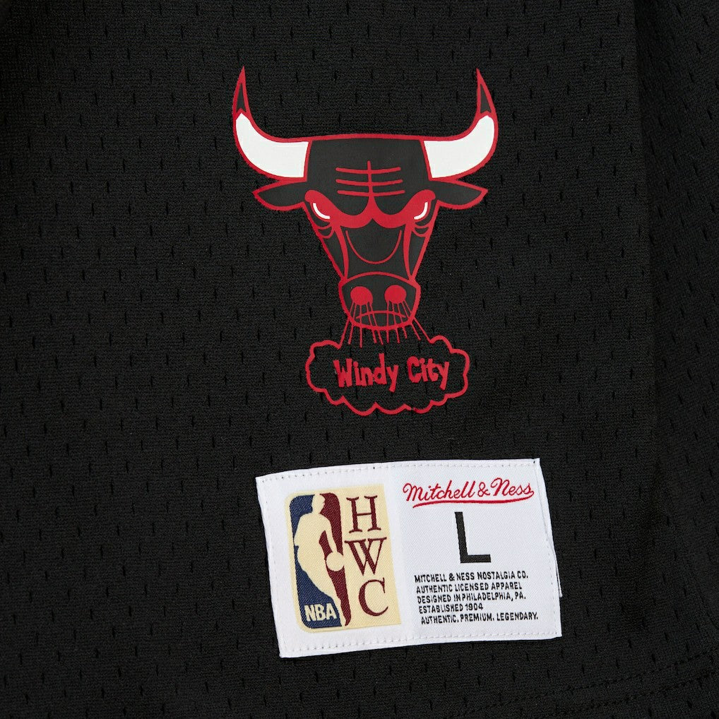 Black Dennis Rodman Chicago Bulls Mesh Name & Number Short Sleeve Hoodie sale | NBA