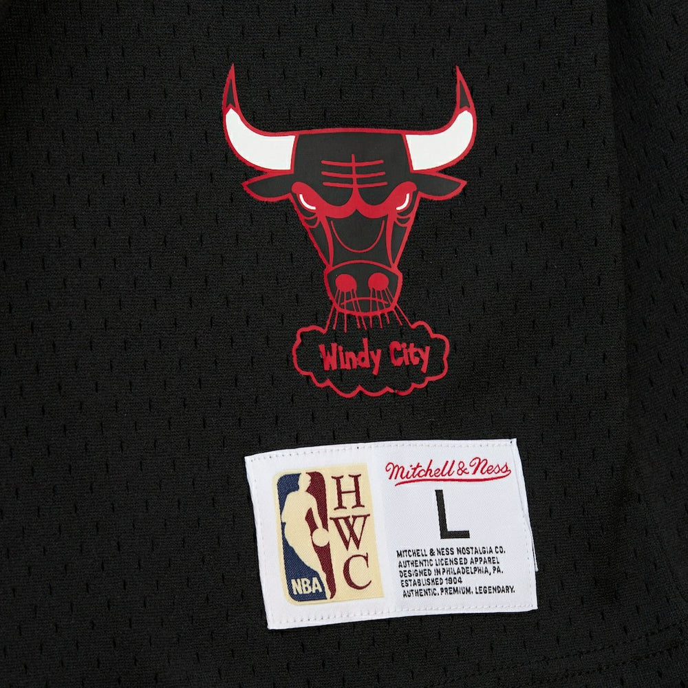 Black Dennis Rodman Chicago Bulls Mesh Name & Number Short Sleeve Hoodie sale | NBA