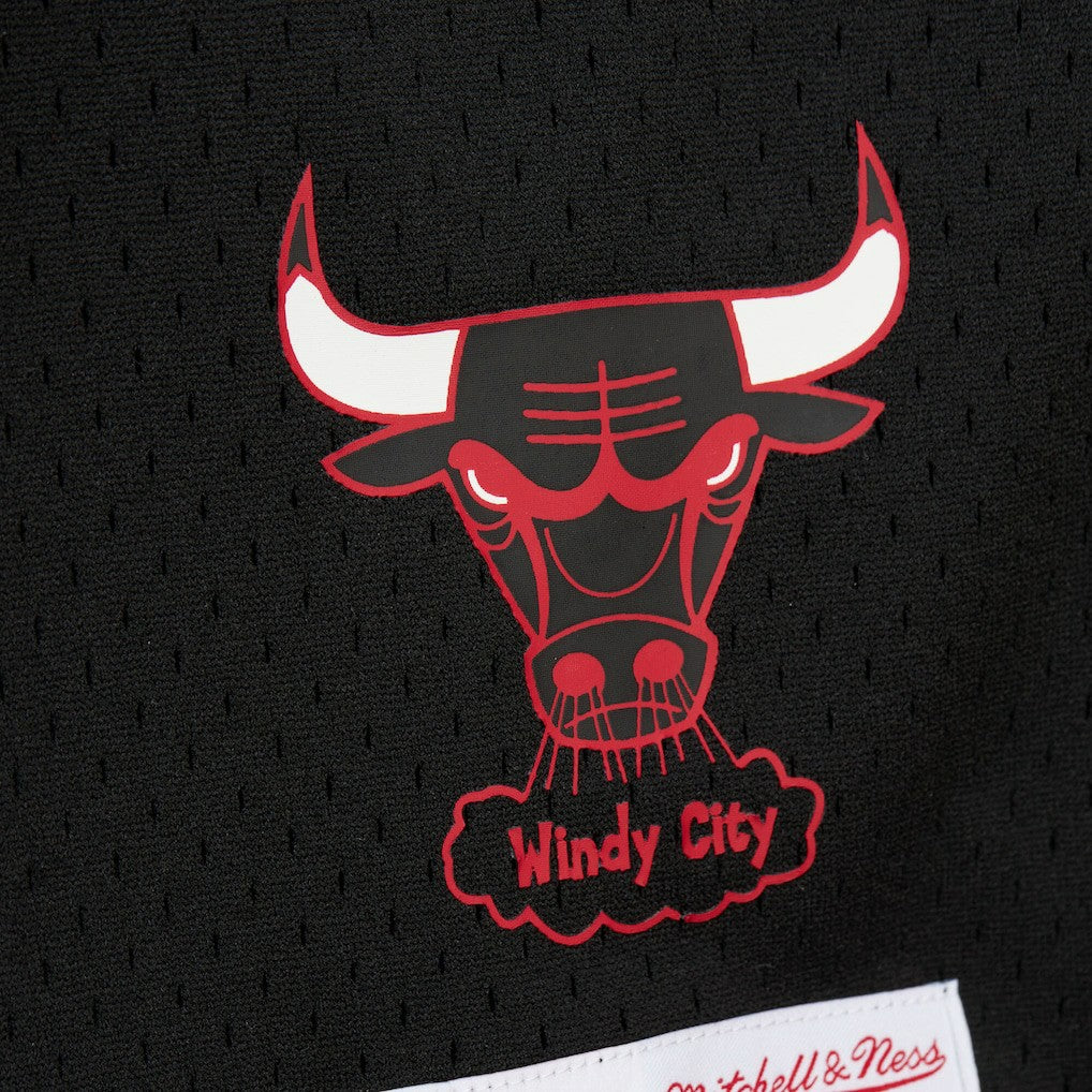 Black Dennis Rodman Chicago Bulls Mesh Name & Number Short Sleeve Hoodie sale | NBA