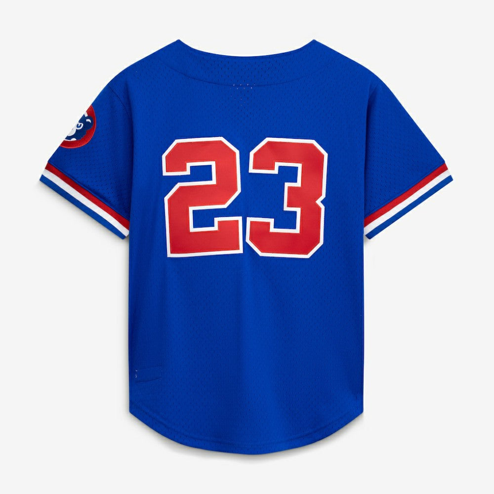 Ryne Sandberg Chicago Cubs Mitchell & Ness Cooperstown Collection 1996 Mesh Batting Practice Button-Up Jersey - MLB Jerseys