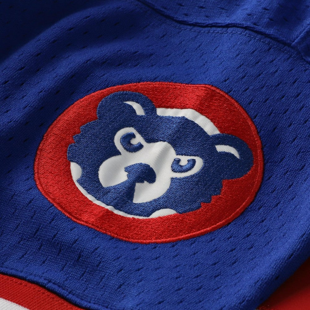 Ryne Sandberg Chicago Cubs Mitchell & Ness Cooperstown Collection 1996 Mesh Batting Practice Button-Up Jersey - MLB Jerseys