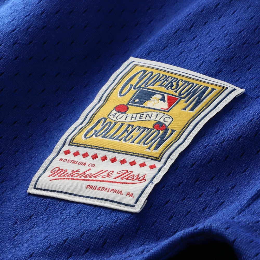 Ryne Sandberg Chicago Cubs Mitchell & Ness Cooperstown Collection 1996 Mesh Batting Practice Button-Up Jersey - MLB Jerseys
