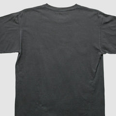 Pittsburgh Steelers NFL 2000s T-shirt | NFL New