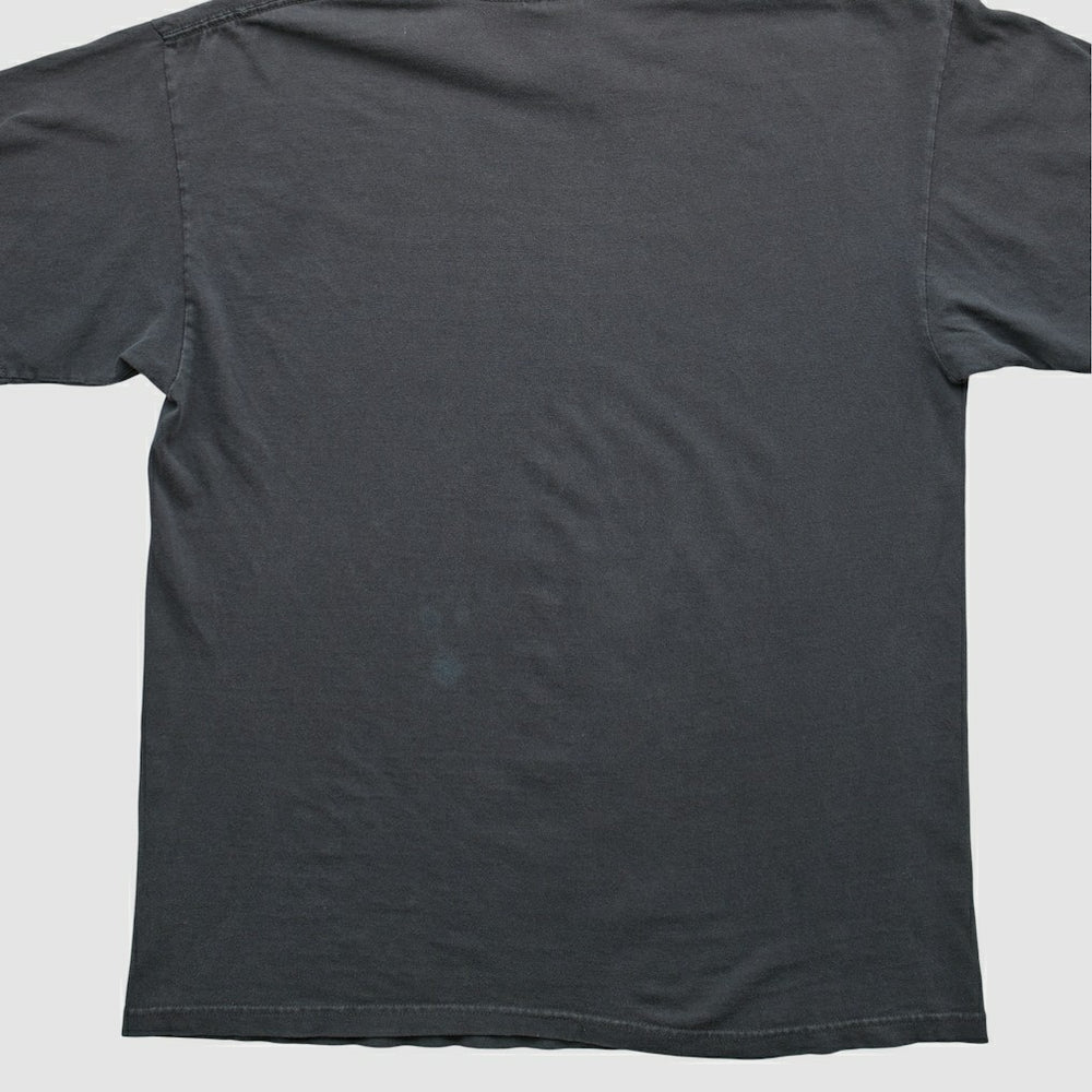 Pittsburgh Steelers NFL 2000s T-shirt | NFL Near me