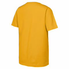 Boston Bruins Fanatics Youth 2026 NHL Stadium Series Authentic Locker Room T-Shirt -  NHL T-shirts