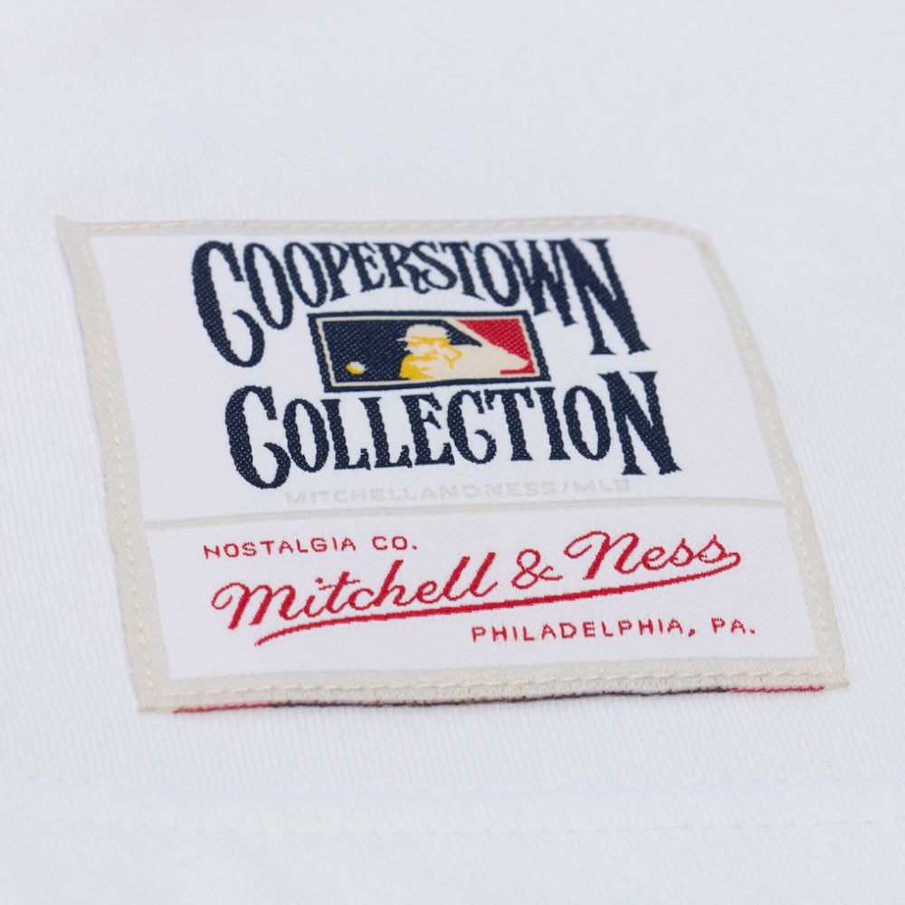 San Francisco Giants Mitchell & Ness Cooperstown Collection Arctic T-Shirt - MLB T-shirts