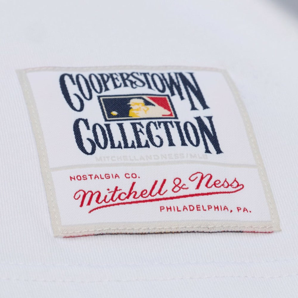 Chicago Cubs Mitchell & Ness Cooperstown Collection Arctic T-Shirt - MLB T-shirts