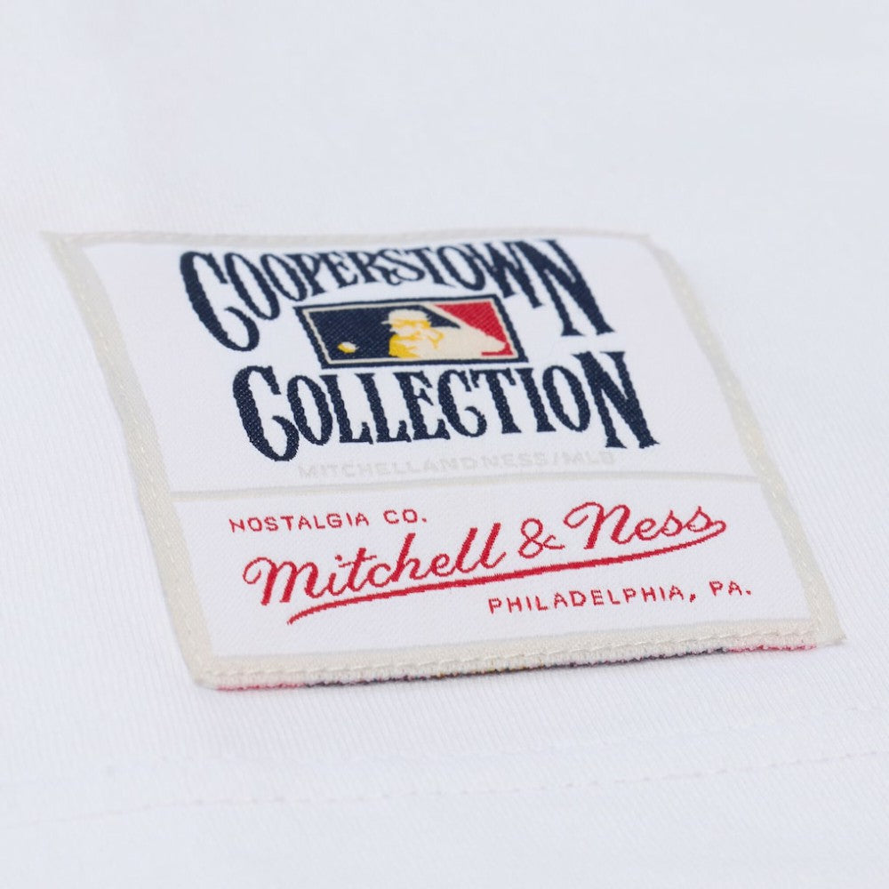 Los Angeles Dodgers Mitchell & Ness Cooperstown Collection Arctic T-Shirt - MLB T-shirts