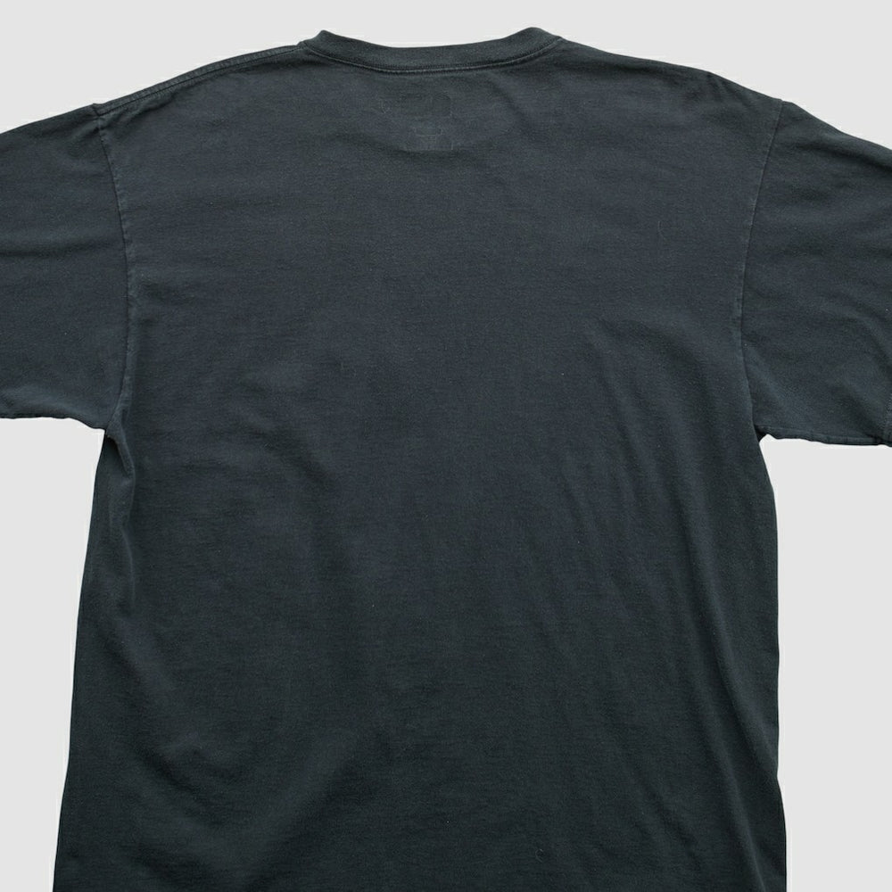 Pittsburgh Steelers NFL 2000s T-shirt | NFL Online