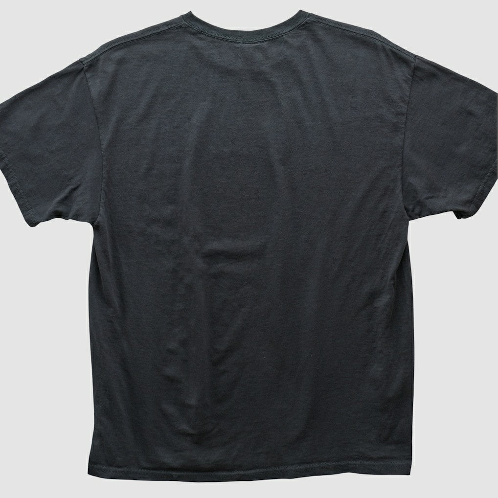 Pittsburgh Steelers NFL 2000s T-shirt | NFL Online