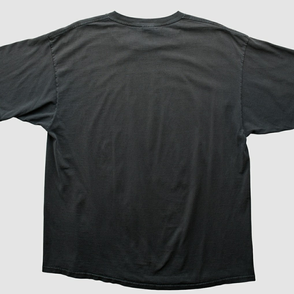 Pittsburgh Steelers NFL 2000s T-shirt | NFL Hot