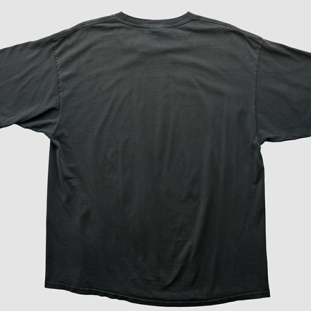 Pittsburgh Steelers NFL 2000s T-shirt | NFL Hot