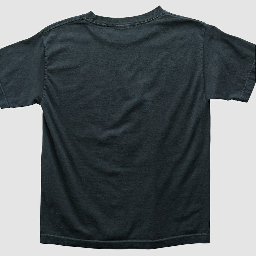 Philadelphia Eagles Alstyle 2004 T-shirt | NFL Hot