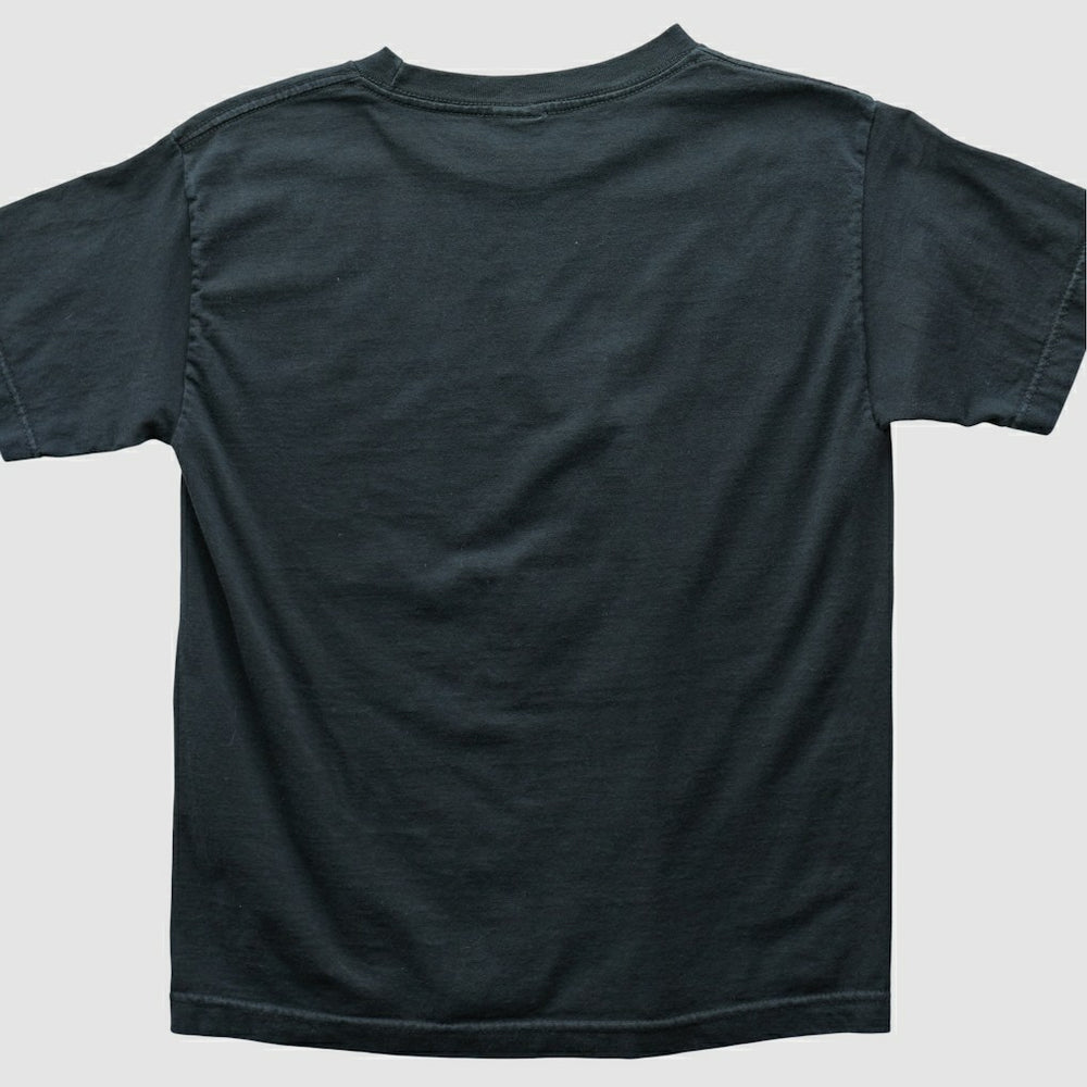 Philadelphia Eagles Alstyle 2004 T-shirt | NFL Hot