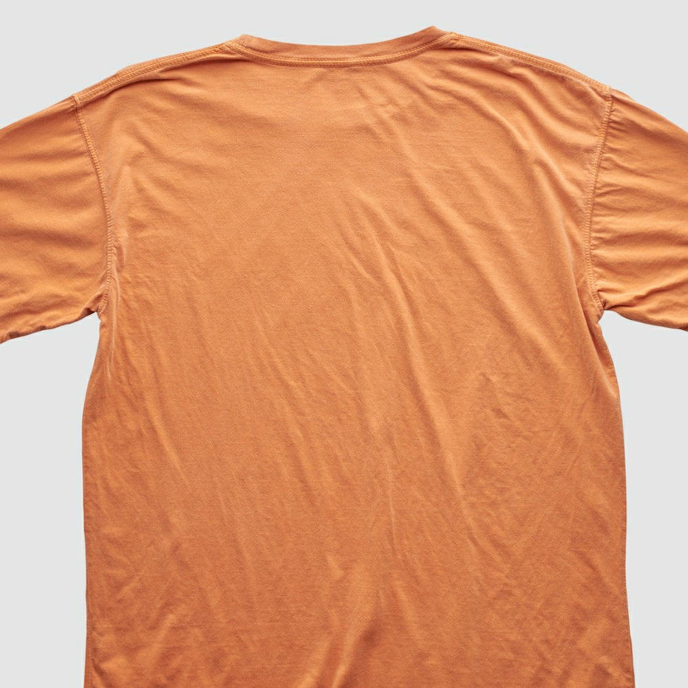 Cleveland Browns Reebok 2010s T-shirt | NFL Online