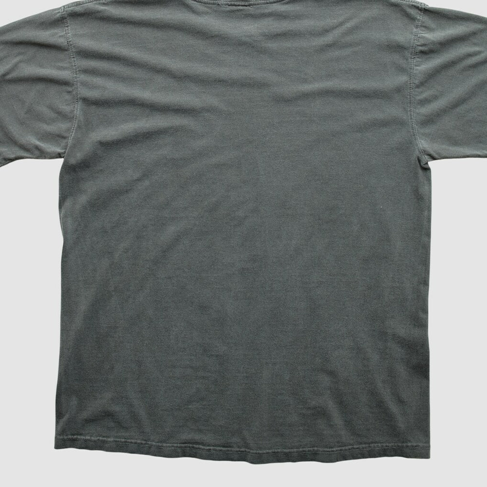 Cleveland Browns NFL Pro Line 2010s T-shirt | NFL New