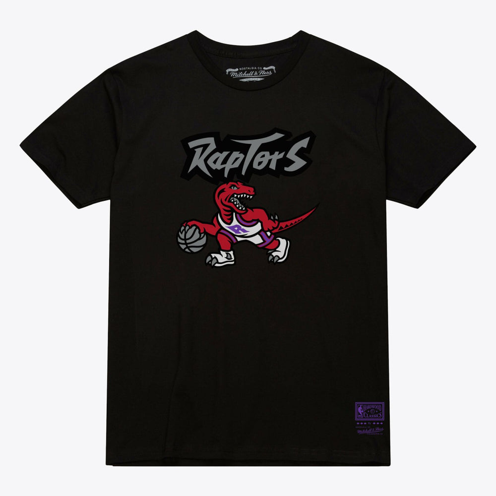 Black Toronto Raptors Unisex Hardwood Classics Arch T-Shirt | NBA