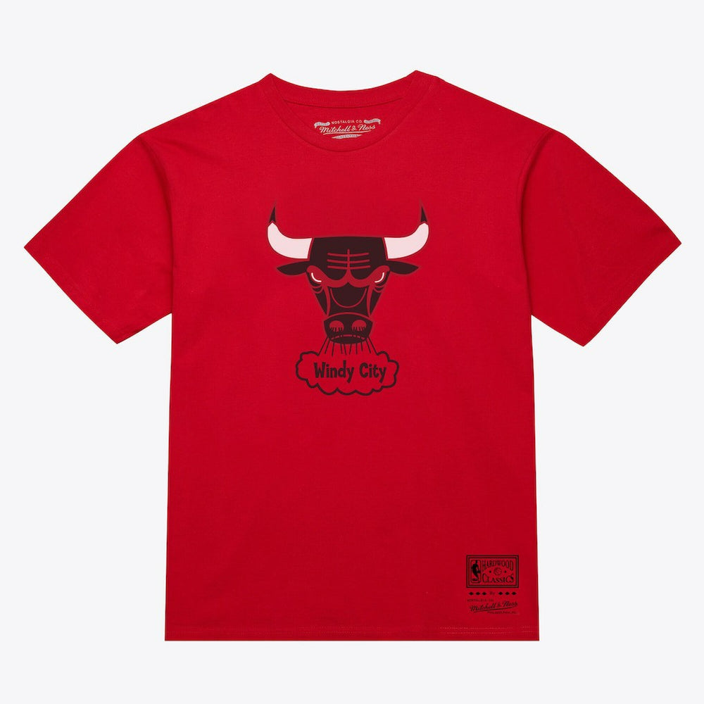 Red Chicago Bulls Unisex Hardwood Classics Arch T-Shirt sale | NBA