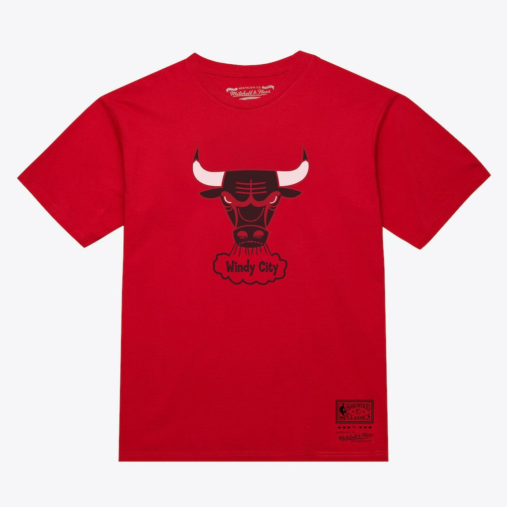 Red Chicago Bulls Unisex Hardwood Classics Arch T-Shirt sale | NBA