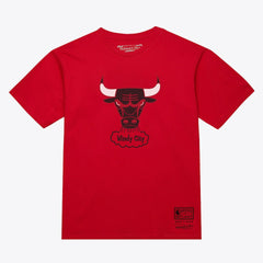 Red Chicago Bulls Unisex Hardwood Classics Arch T-Shirt sale | NBA