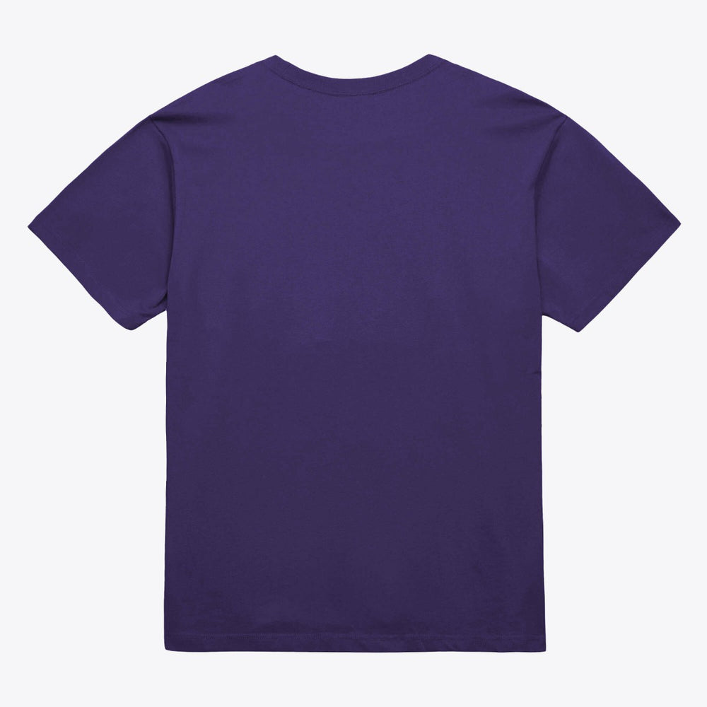 Purple Phoenix Suns Unisex Hardwood Classics Arch T-Shirt | NBA