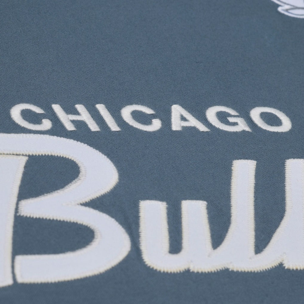 Blue Chicago Bulls Thunderstorm T-Shirt sale | NBA