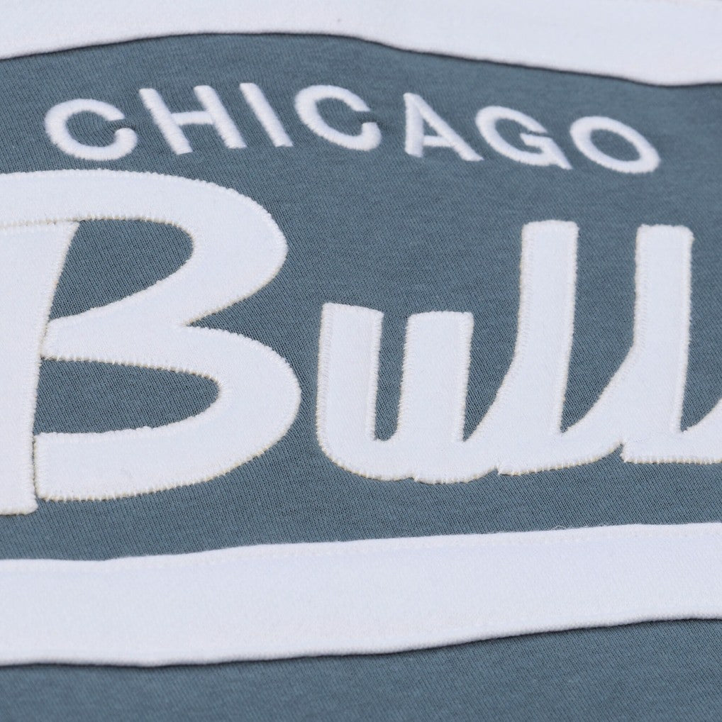 Blue Chicago Bulls Thunderstorm Head Coach Quarter-Zip Jacket | NBA