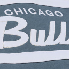 Blue Chicago Bulls Thunderstorm Head Coach Quarter-Zip Jacket | NBA